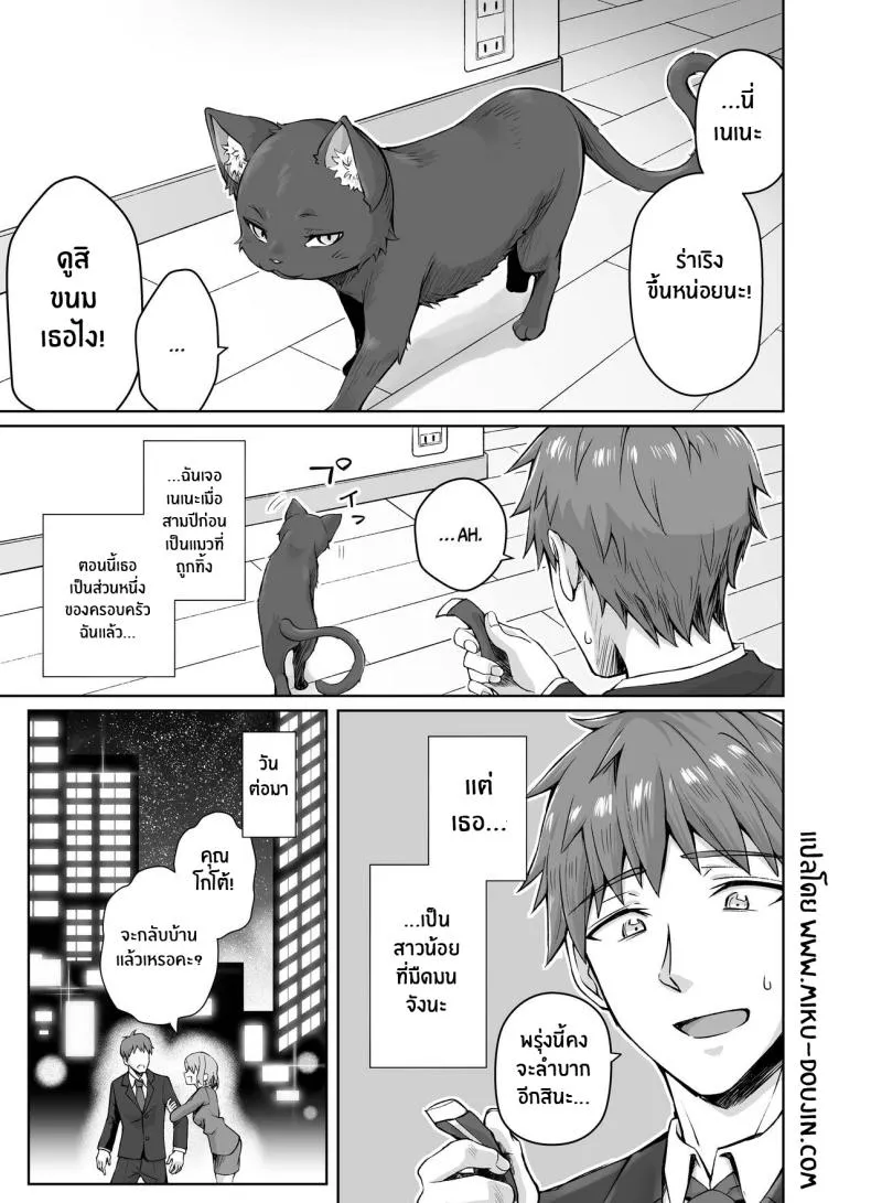 [KOYUKI-ya (Koyuki, Yaki Tomato)] Uchi no Yandere na Kaineko-chan ni Mechakucha ni Shiborarechau Hanashi Number 2 