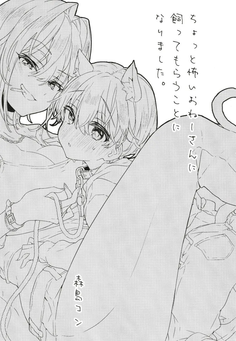 [Koniro Drops (Morishima Kon)] Chotto Kowai Onee-san ni Katte morau Koto ni Narimashita_ Number 2 