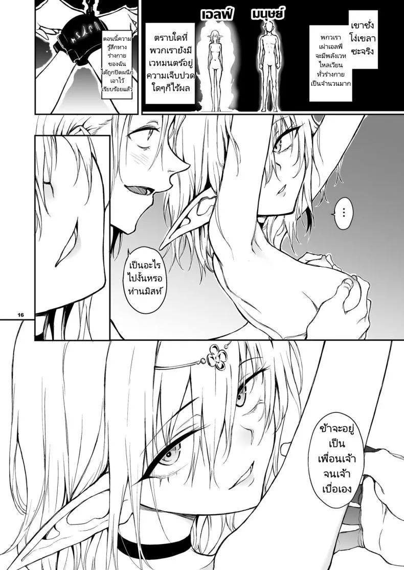 [Kyockchokyock (Kyockcho)] ELF Education. -Boukoku no Mist- Elf Education -Mist, from the fallen country Number 16 