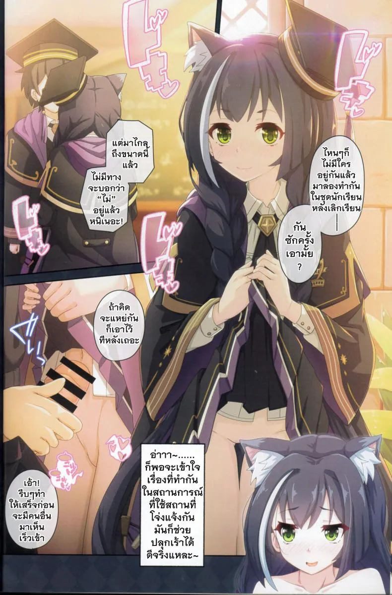 [MIDDLY (Midorinocha)] Colorful Connect thDive (Princess Connect! ReDive) Number 17 